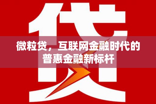 马山微粒贷，互联网金融时代的普惠金融新标杆