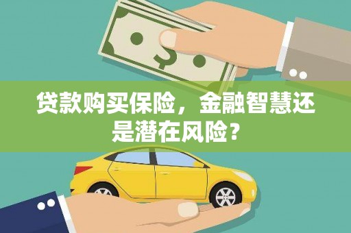 马山贷款购买保险，金融智慧还是潜在风险？