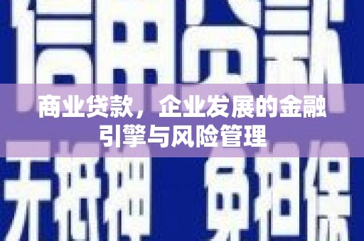 马山商业贷款，企业发展的金融引擎与风险管理