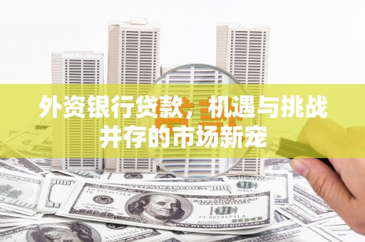 马山外资银行贷款，机遇与挑战并存的市场新宠