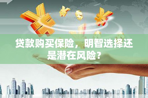 马山贷款购买保险，明智选择还是潜在风险？