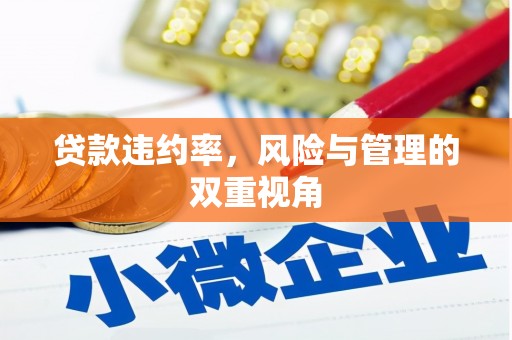 马山贷款违约率，风险与管理的双重视角