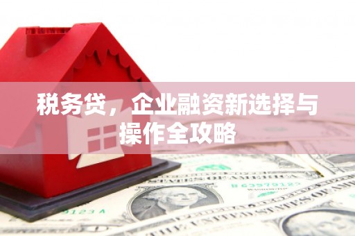 马山税务贷，企业融资新选择与操作全攻略