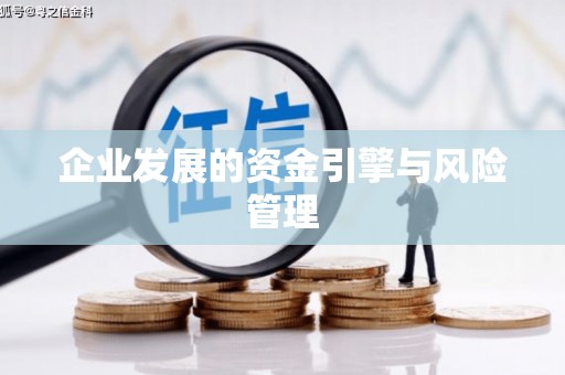 马山企业发展的资金引擎与风险管理