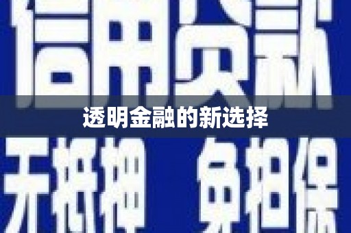 马山透明金融的新选择