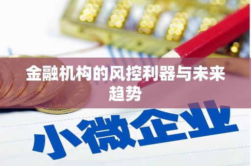 马山金融机构的风控利器与未来趋势