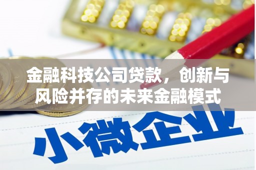 马山金融科技公司贷款，创新与风险并存的未来金融模式