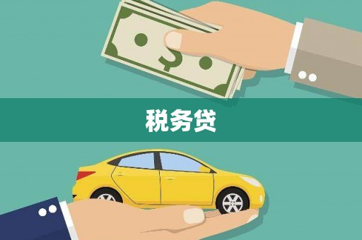 马山税务贷
