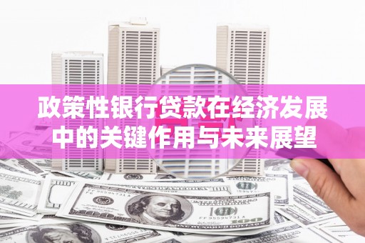 马山政策性银行贷款在经济发展中的关键作用与未来展望
