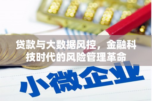 马山贷款与大数据风控，金融科技时代的风险管理革命