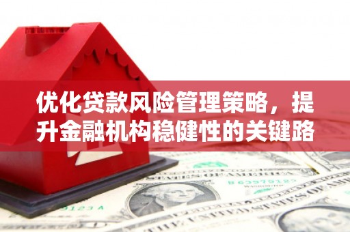 马山优化贷款风险管理策略，提升金融机构稳健性的关键路径