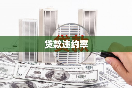 马山贷款违约率