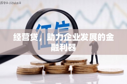马山经营贷，助力企业发展的金融利器