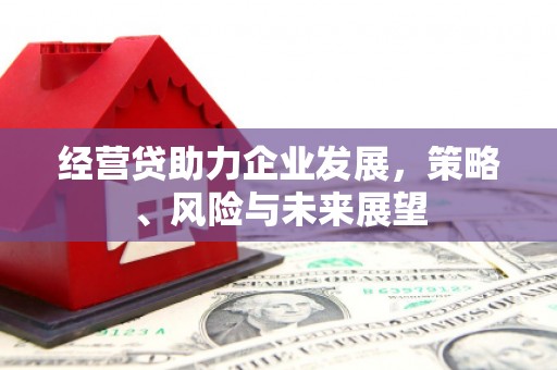 马山经营贷助力企业发展，策略、风险与未来展望