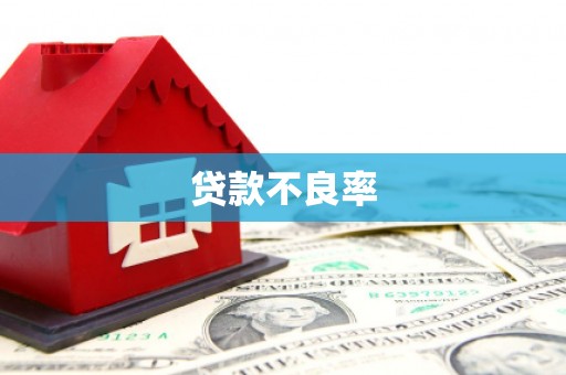 马山贷款不良率