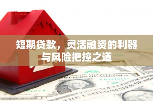 马山短期贷款，灵活融资的利器与风险把控之道
