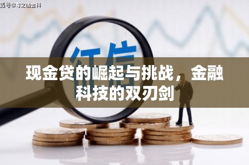 马山现金贷的崛起与挑战，金融科技的双刃剑