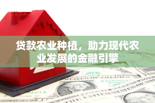马山贷款农业种植，助力现代农业发展的金融引擎