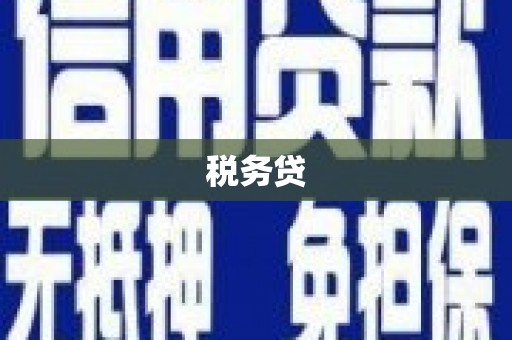 马山税务贷