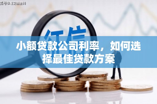 马山小额贷款公司利率，如何选择最佳贷款方案