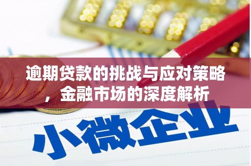 马山逾期贷款的挑战与应对策略，金融市场的深度解析