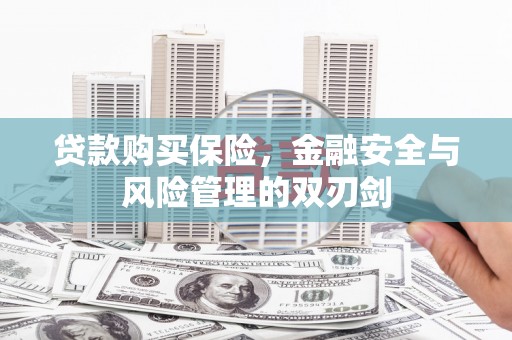 马山贷款购买保险，金融安全与风险管理的双刃剑