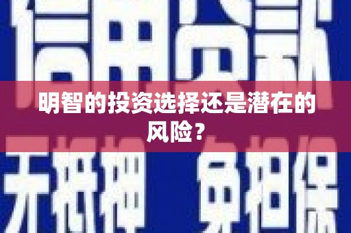 马山明智的投资选择还是潜在的风险？