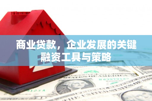 马山商业贷款，企业发展的关键融资工具与策略