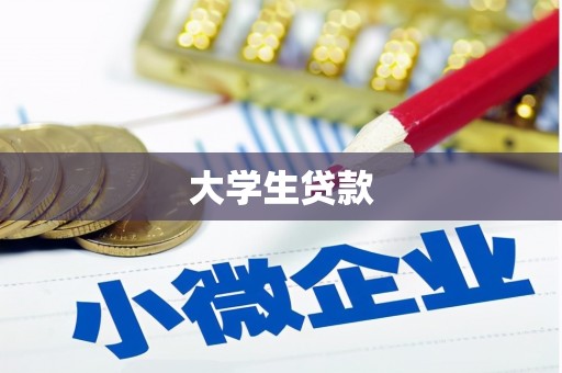 马山大学生贷款