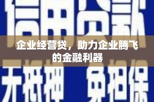 马山企业经营贷，助力企业腾飞的金融利器