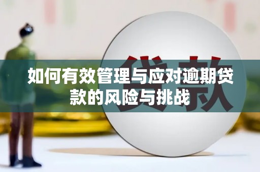 马山如何有效管理与应对逾期贷款的风险与挑战