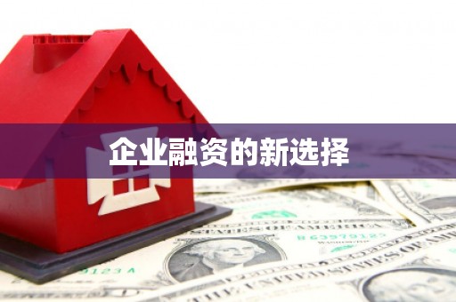 马山企业融资的新选择