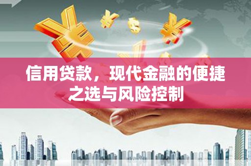 马山信用贷款，现代金融的便捷之选与风险控制