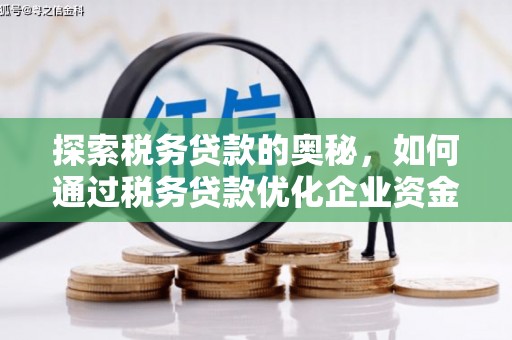马山探索税务贷款的奥秘，如何通过税务贷款优化企业资金流