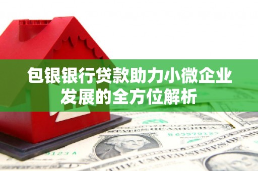 马山包银银行贷款助力小微企业发展的全方位解析 马山包银银行贷款助力小微企业发展的全方位解析