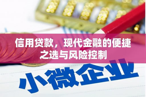 马山信用贷款，现代金融的便捷之选与风险控制