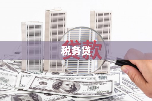 马山税务贷