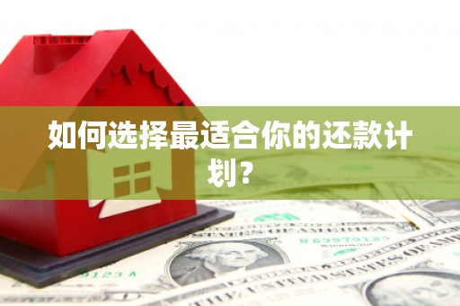 马山如何选择最适合你的还款计划？