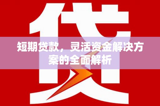 马山短期贷款，灵活资金解决方案的全面解析
