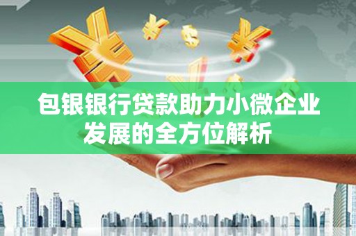 马山包银银行贷款助力小微企业发展的全方位解析