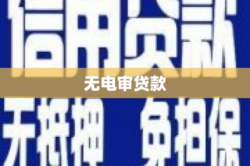 马山无电审贷款