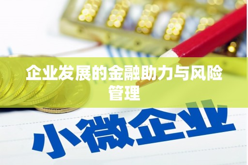 马山企业发展的金融助力与风险管理