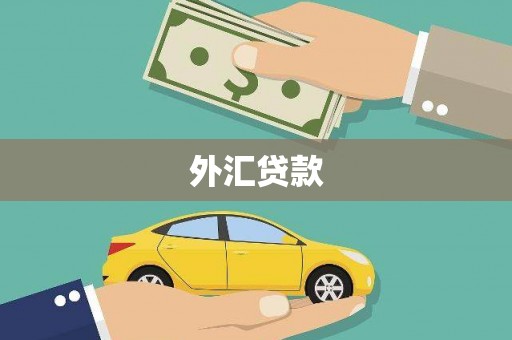 马山外汇贷款