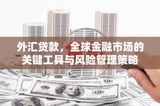 马山外汇贷款，全球金融市场的关键工具与风险管理策略