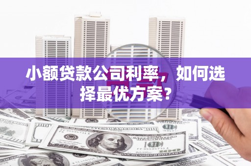 马山小额贷款公司利率，如何选择最优方案？