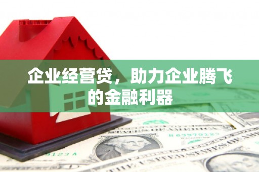 马山企业经营贷，助力企业腾飞的金融利器