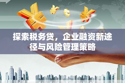 马山探索税务贷，企业融资新途径与风险管理策略