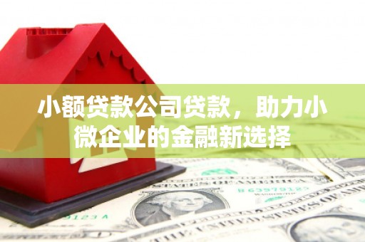 马山小额贷款公司贷款，助力小微企业的金融新选择