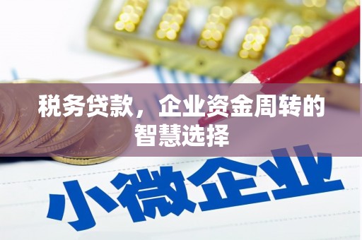 马山税务贷款，企业资金周转的智慧选择