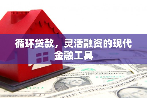 马山循环贷款，灵活融资的现代金融工具